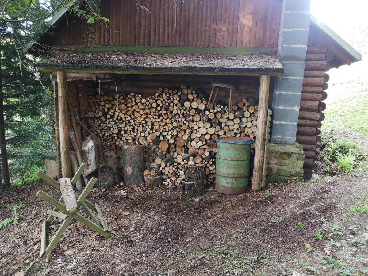 Srub Na Svahu Sjezdovky V Radvanicich Radvanice  Exterior foto
