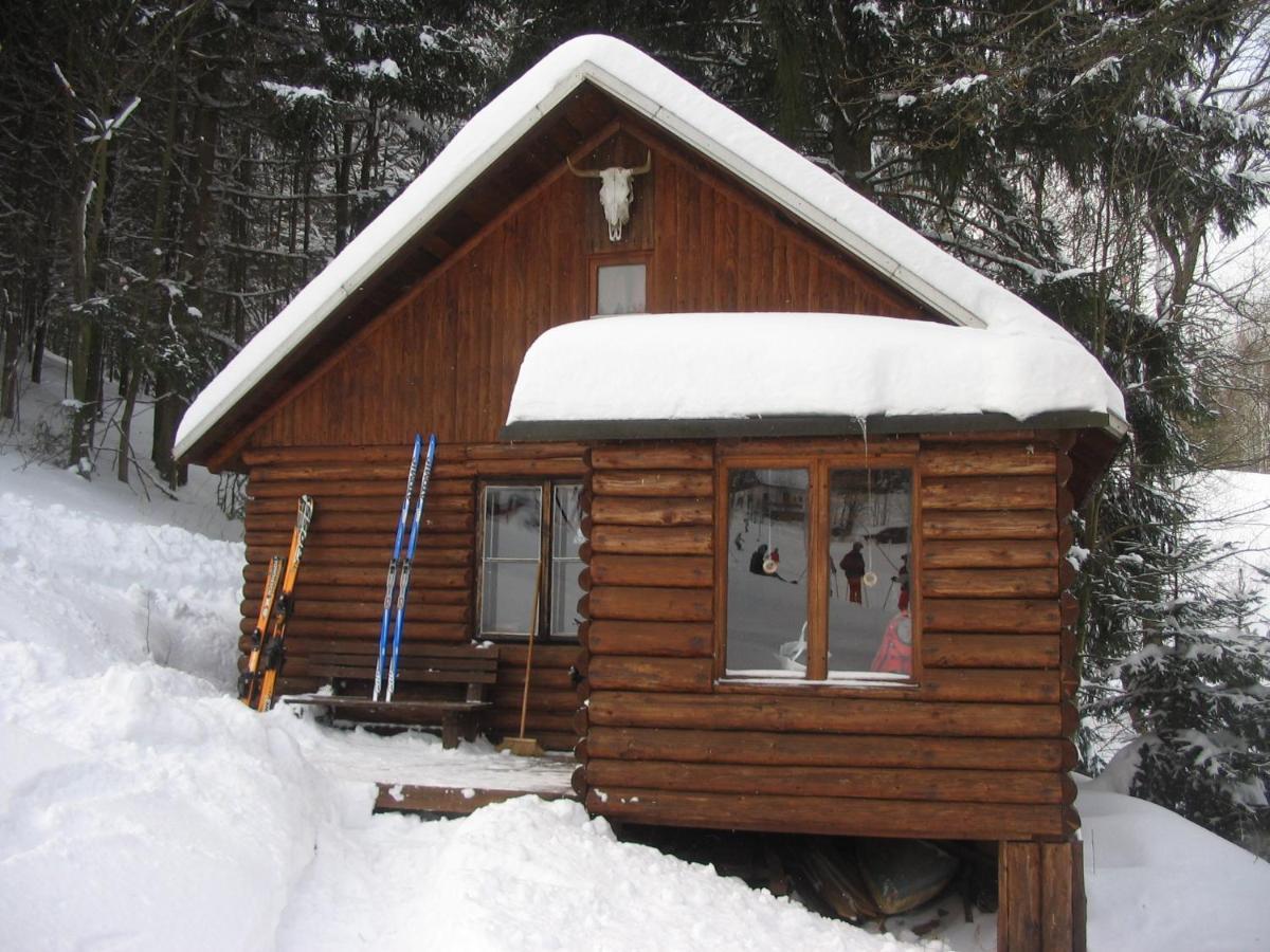 Srub Na Svahu Sjezdovky V Radvanicich Radvanice  Exterior foto