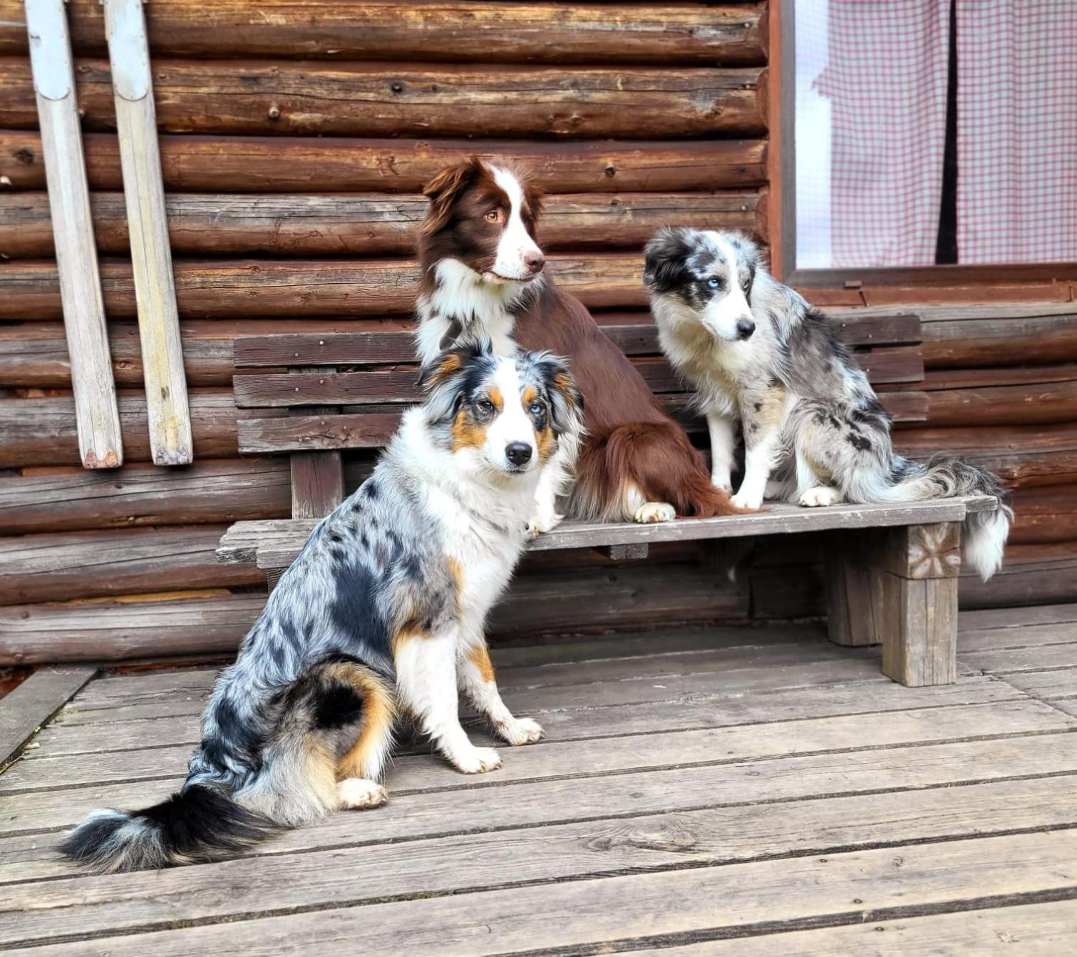 Srub Na Svahu Sjezdovky V Radvanicich Radvanice  Exterior foto